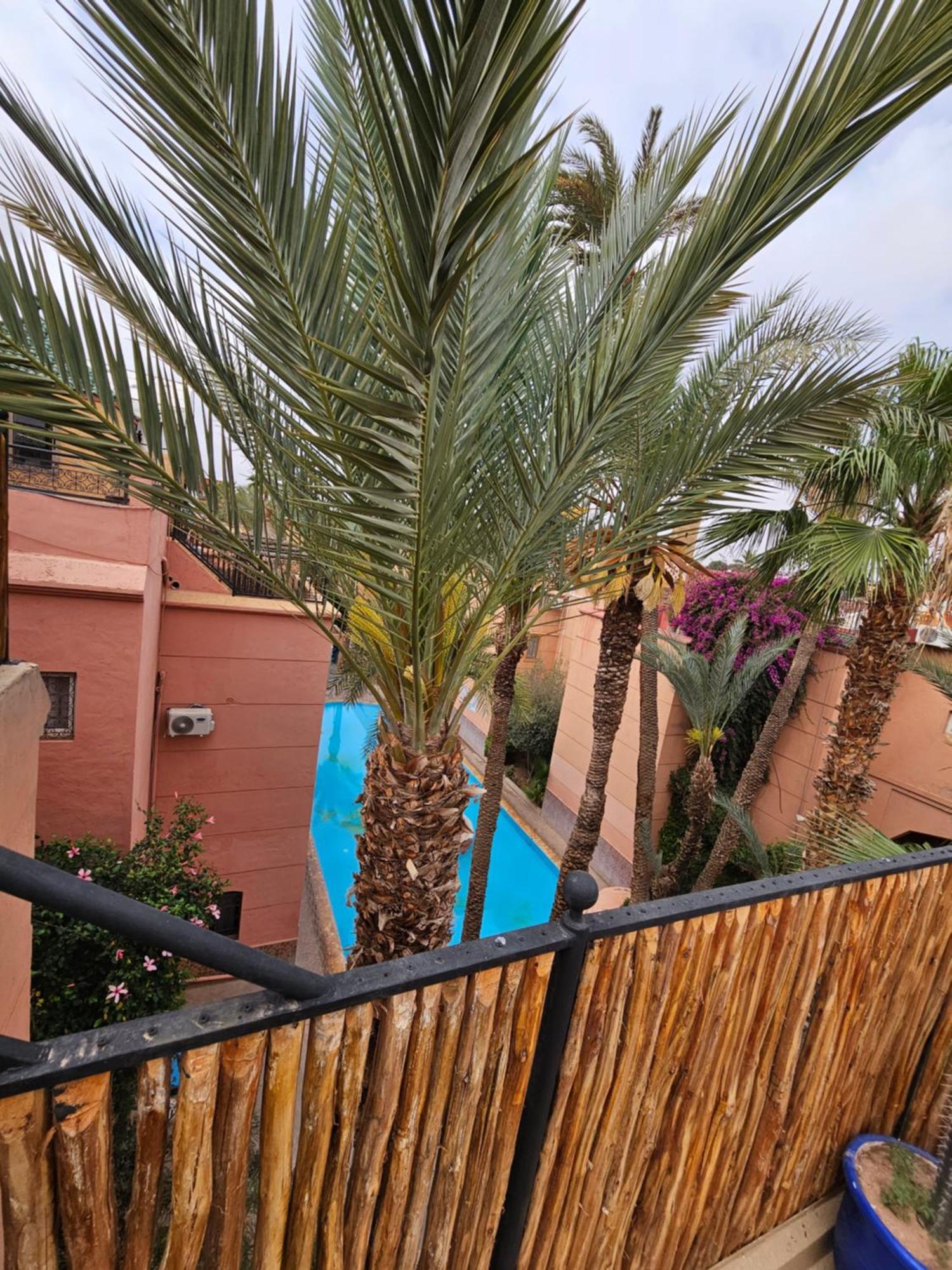 Duplex El Madina Villa Marrakesh Eksteriør billede